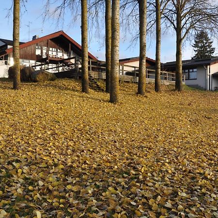 Hotel Hanhi Lapinjarvi Exterior photo